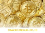 Pergerakan Harga Bitcoin yang Masih Datar Saat Pasar Saham S&P 500 Cetak Rekor 2026