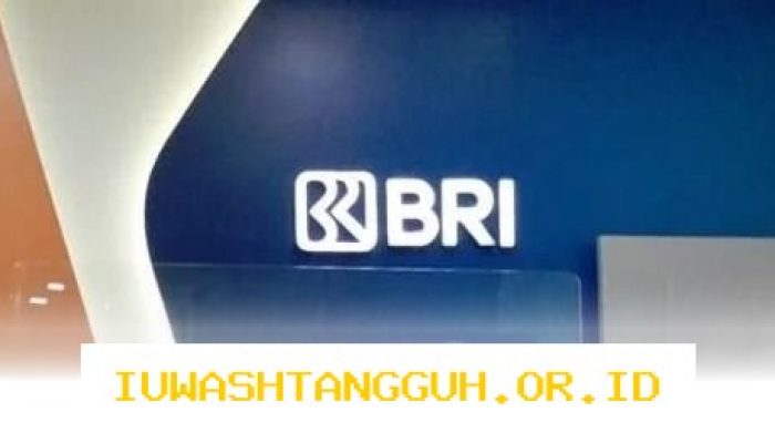 Pilihan Pinjaman KUR BRI 2026 Sebesar 50 Juta dengan Angsuran Ringan 216 Ribu Per Bulan
