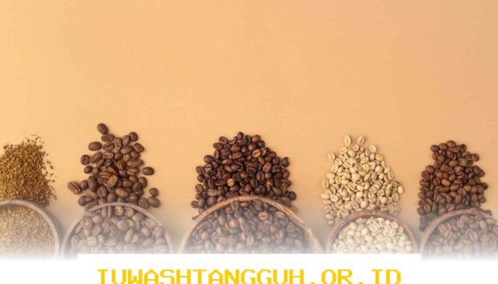Rekomendasi Varian Biji Kopi Terbaik yang Paling Populer di Kalangan Pecinta Kopi 2026
