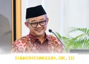 Rencana Penghapusan Status Guru Non ASN Tahun 2026 Segera Ditetapkan Mendikdasmen Mu'ti