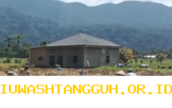 Sebanyak 2.020 Hektare Lahan Pertanian di Sumbar Kembali Produktif pada Tahun 2026 Ini