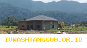 Sebanyak 2.020 Hektare Lahan Pertanian di Sumbar Kembali Produktif pada Tahun 2026 Ini