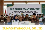 Sebanyak 267 Guru Non ASN di Lingkungan Pesantren Kini Terima Tunjangan Profesi 2026