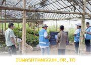 Strategi Digitalisasi 1000 Bibit Mangrove di Cilacap oleh PLN EPI pada Tahun 2026 Ini