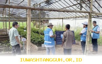 Strategi Digitalisasi 1000 Bibit Mangrove di Cilacap oleh PLN EPI pada Tahun 2026 Ini