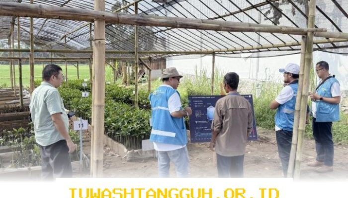 Strategi Digitalisasi 1000 Bibit Mangrove di Cilacap oleh PLN EPI pada Tahun 2026 Ini
