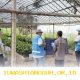 Strategi Digitalisasi 1000 Bibit Mangrove di Cilacap oleh PLN EPI pada Tahun 2026 Ini