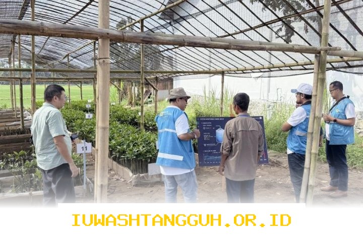 Strategi Digitalisasi 1000 Bibit Mangrove di Cilacap oleh PLN EPI pada Tahun 2026 Ini
