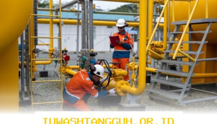 Strategi Efektif Meningkatkan Kinerja Karyawan Secara Maksimal di Sepanjang Tahun 2026
