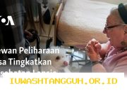 Strategi Hemat Biaya Perawatan Hewan Peliharaan bagi Lansia di Tahun 2026 yang Efektif