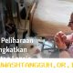 Strategi Hemat Biaya Perawatan Hewan Peliharaan bagi Lansia di Tahun 2026 yang Efektif