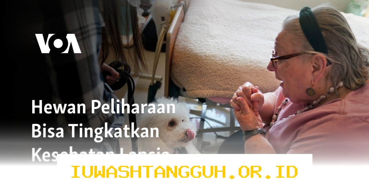 Strategi Hemat Biaya Perawatan Hewan Peliharaan bagi Lansia di Tahun 2026 yang Efektif