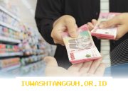 Strategi Jitu Habibie Menguatkan Rupiah di Tengah Tekanan Dolar pada Tahun 2026 Ini