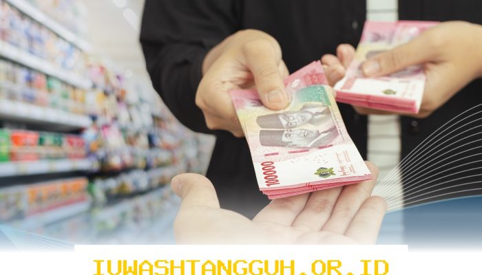 Strategi Jitu Habibie Menguatkan Rupiah di Tengah Tekanan Dolar pada Tahun 2026 Ini