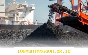 Strategi Menjaga Stabilitas Harga Listrik di Indonesia dengan 1 Sumber Batu Bara di 2026