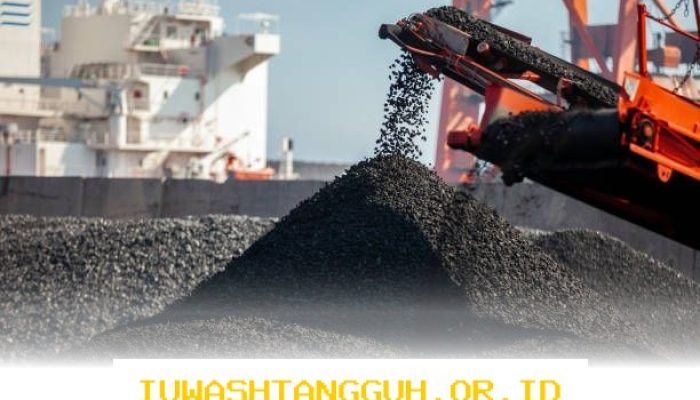 Strategi Menjaga Stabilitas Harga Listrik di Indonesia dengan 1 Sumber Batu Bara di 2026