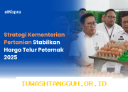 Strategi Pemerintah Optimalkan Penyerapan 500 Ton Telur Peternak Lokal Sepanjang 2026