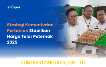 Strategi Pemerintah Optimalkan Penyerapan 500 Ton Telur Peternak Lokal Sepanjang 2026