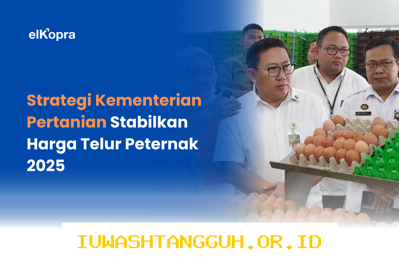 Strategi Pemerintah Optimalkan Penyerapan 500 Ton Telur Peternak Lokal Sepanjang 2026