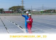 Strategi PLN Indonesia Power Perluas Jangkauan Pasar Karbon Global Sepanjang Tahun 2026