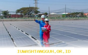 Strategi PLN Indonesia Power Perluas Jangkauan Pasar Karbon Global Sepanjang Tahun 2026