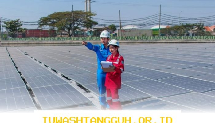 Strategi PLN Indonesia Power Perluas Jangkauan Pasar Karbon Global Sepanjang Tahun 2026