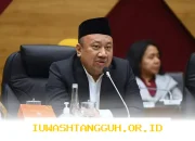 Strategi Rekrutmen Guru Tahun 2026 Fokus Utama Komisi X DPR Lewat Jalur Seleksi CPNS