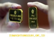 Update Daftar Harga Emas Antam Terbaru 2026 yang Sedang Stabil dan Siap Jadi Investasi