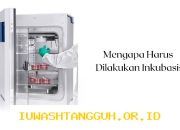 Update Terbaru 2026 Progres Penerbitan Izin 5 LKM Inkubasi yang Sedang Diproses OJK