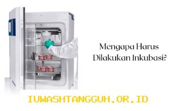 Update Terbaru 2026 Progres Penerbitan Izin 5 LKM Inkubasi yang Sedang Diproses OJK