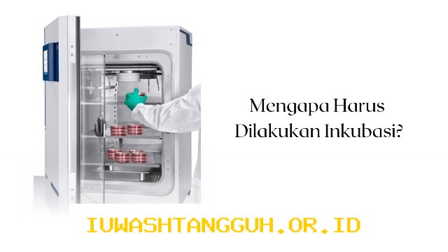Update Terbaru 2026 Progres Penerbitan Izin 5 LKM Inkubasi yang Sedang Diproses OJK